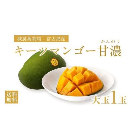 ふるさと納税 マンゴー 沖縄県 宮古島市 [先行予約]沖縄県宮古島産 減農薬栽培 キーツマンゴー甘濃(かんのう)1玉 琉球マルシェ