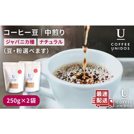 ふるさと納税 コーヒー コーヒー豆 福岡県 糸島市 細挽き 中煎り コーヒー 豆 250g × 2袋 ( 豆 ・ 粉 選べます ) ニカラグア産 エルポルベニール農園 ジャ…
