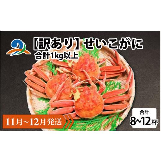 ふるさと納税 カニ ずわいガニ 福井県 南越前町 先行予約 訳あり せいこがに 合計1kg以上(8〜12杯) 11月〜12月配送