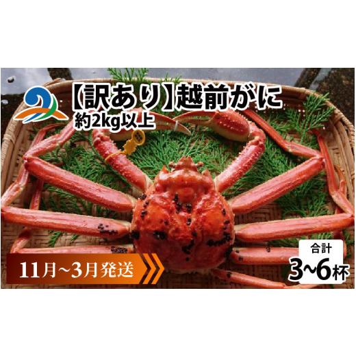 ふるさと納税 カニ ずわいガニ 福井県 南越前町 先行予約 訳あり 越前がに 合計2kg以上(3〜6杯) 11月〜3月配送