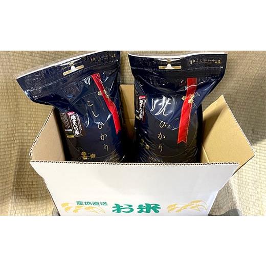 ふるさと納税 米 コシヒカリ 千葉県 鋸南町 令和7年度産 新米 ブランド 