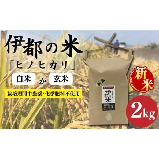 ふるさと納税 米 ヒノヒカリ 福岡県 糸島市 令和7年産 白米 伊都の米 ( ヒノヒカリ ) 2kg 糸島市 / 伊都福祉サービス協会 APL001-1 米 白米 玄米 白米