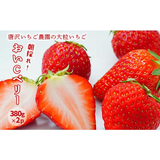 ふるさと納税 いちご 岩手県 一関市 先行予約 唐沢いちご農園 大粒いちご おいCべりー 380g×2パック