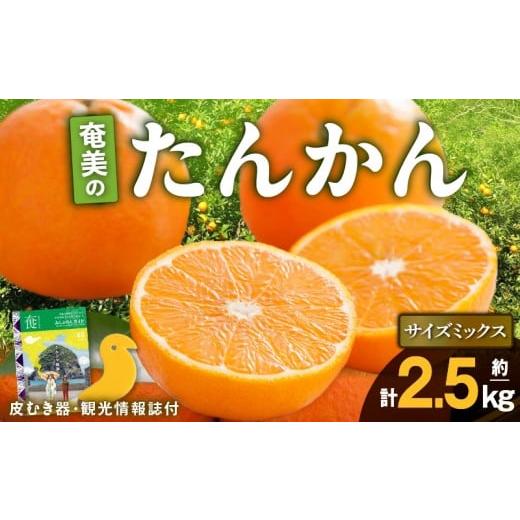 ふるさと納税 果物類 みかん 鹿児島県 奄美市 2026年産 奄美のたんかん サイズミックス2.5kg(皮むき器・観光情報誌付)