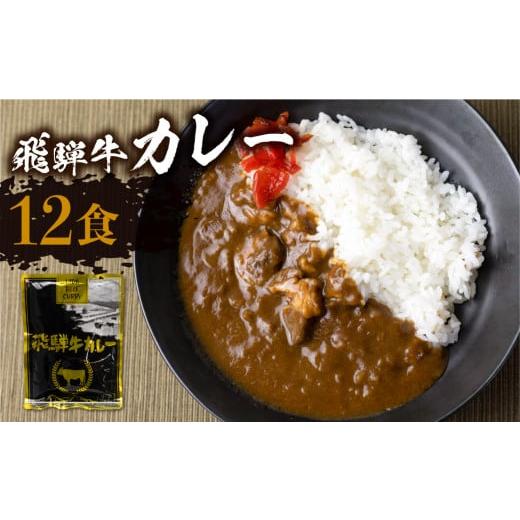 ふるさと納税 惣菜・レトルト 岐阜県 高山市 2月発送 飛騨牛カレー (12袋) カレー ビーフカレー 簡易包装 レトルトカレー ふるさと清見 DC006VC02 2026年2月…