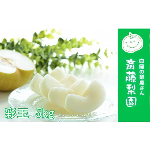 ふるさと納税 梨 埼玉県 白岡市 彩玉 約5kg