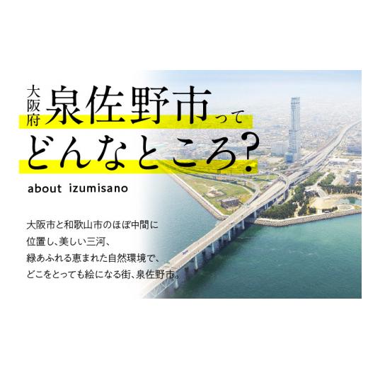 ふるさと納税 大阪府 泉佐野市 日本一なめらかティラミス 6個セット（プレーン×6）｜furusatochoice｜09