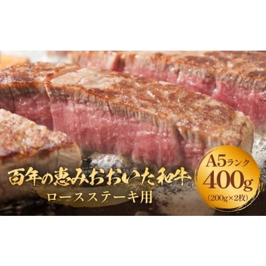 ふるさと納税 牛肉 ステーキ 大分県 玖珠町 「百年の恵み おおいた和牛 」A5 ロースステーキ用 200g×2枚 おおいた和牛 A5 黒毛和牛 ロース ステーキ 大分 肉…