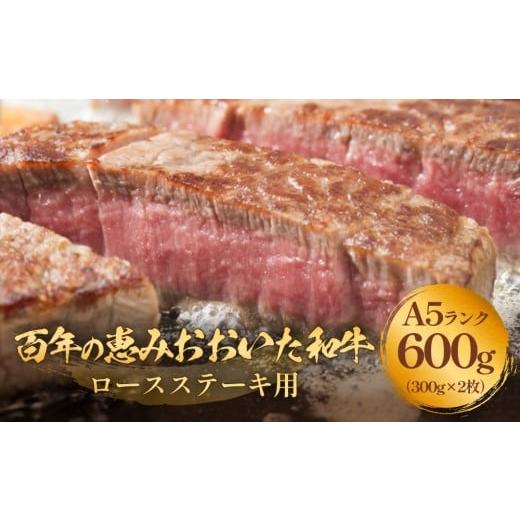ふるさと納税 牛肉 ステーキ 大分県 玖珠町 「百年の恵み おおいた和牛 」A5 ロースステーキ用 300g×2枚 黒毛和牛 黒毛 和牛 牛肉 ロース ステーキ おおいた…