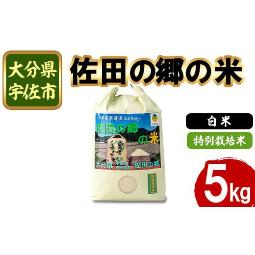 ふるさと納税 米 大分県 宇佐市 新米・令和7年産 佐田の郷の米 特別栽培米(5kg)お米 白米 ごはん ヒノヒカリ ひのひかり ブランド米 常温 常温保存 111700704…