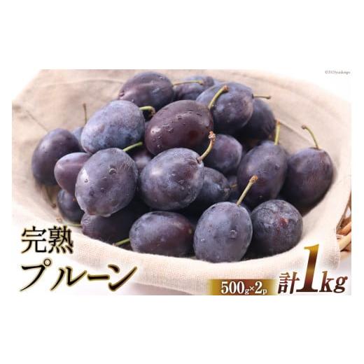 ふるさと納税 北海道 砂川市 [先行受付]プルーン 500g×2p [三谷果樹園 北海道 砂川市 12260525] 果物 フルーツ 国産 生 プルーン 生プルーン 期間限定