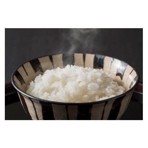 動作確認 ふるさと納税 北海道 苫前町 【令和5年産】北海道とままえ産ゆめぴりか 5kg×6ヵ月連続お届け定期便 【XUR1230657568】(43350円)