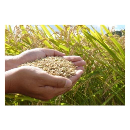 動作確認 ふるさと納税 北海道 苫前町 【令和5年産】北海道とままえ産ゆめぴりか 5kg×6ヵ月連続お届け定期便 【XUR1230657568】(43350円)