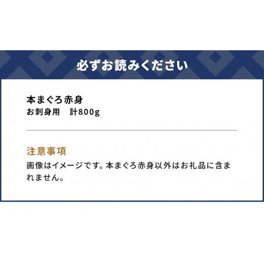 ふるさと納税 大分県 津久見市 本マグロ まぐろお刺身用 赤身5人前(800g) 鮪 海鮮丼 刺し身 刺身 盛り合わせ 冷凍 魚の刺身 大分県産 九州産 津久見市 熨斗対…｜furusatochoice｜05