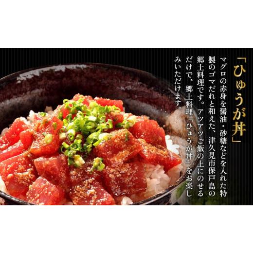 ふるさと納税 大分県 津久見市 まぐろ漁師飯セット マグロ（ひゅうが丼）・ねぎとろセット ねぎとろ 鮪丼 まぐろ 大分県産 九州産 津久見市 熨斗対応｜furusatochoice｜04