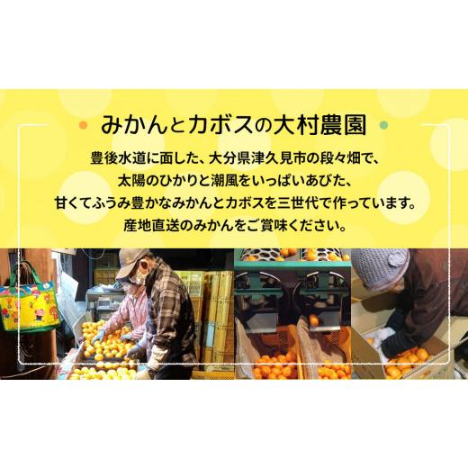 ふるさと納税 大分県 津久見市 【先行予約】大村農園のみかん 清見 5kg ミカン 蜜柑 オレンジ 果実 旬のフルーツ 大分県産 九州産 津久見市 国産｜furusatochoice｜04