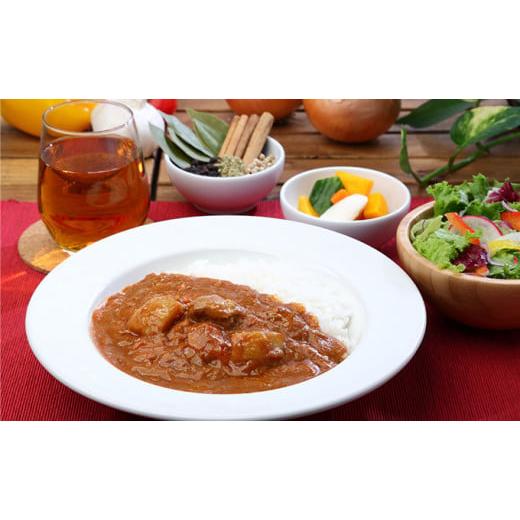 ふるさと納税 東京都 国立市 30種のスパイスを使用した 国立 薬膳カレー 4種類 + カレールー 詰め合わせ レトルト ポーク チキン 野菜 ビーフ…