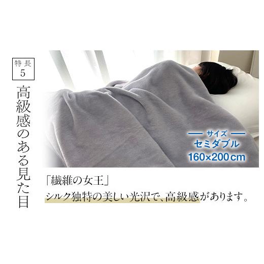 ふるさと納税 タオル・寝具 毛布 大阪府 泉大津市 ザ・毛布「プレミアム シルク」グレー セミダブル 160×200cm シルク毛布 (上質な絹・silkを使った 掛け布団…の画像