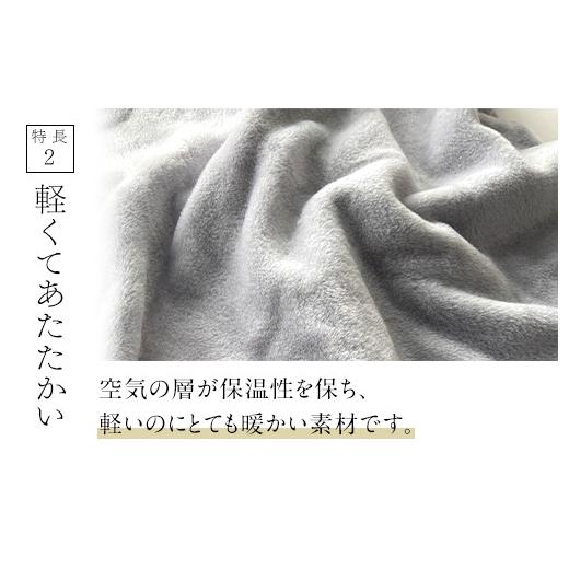ふるさと納税 タオル・寝具 毛布 大阪府 泉大津市 ザ・毛布「プレミアム シルク」グレー ダブル 180×200cm シルク毛布 (上質な絹・silkを使った 掛け布団 ブ…の画像
