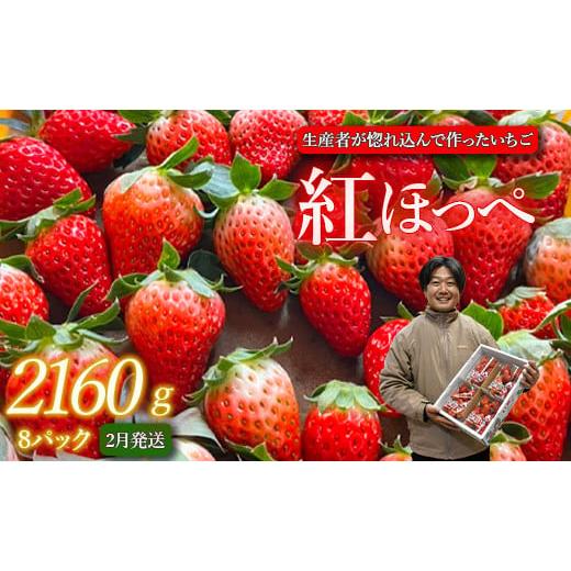 ふるさと納税 いちご 茨城県 鉾田市 2月発送 紅ほっぺ/270g×8パック(4パック入り2箱) 2月発送