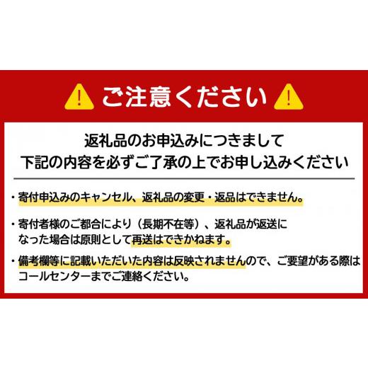 ふるさと納税 北海道 千歳市 【定期便3ヶ月】キリン一番搾り生ビール＜北海道千歳工場産＞350ml 2ケース（48本）｜furusatochoice｜08