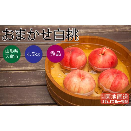 ふるさと納税 もも 山形県 天童市 08-06-011 もも(おまかせ白桃)4.5kgの画像