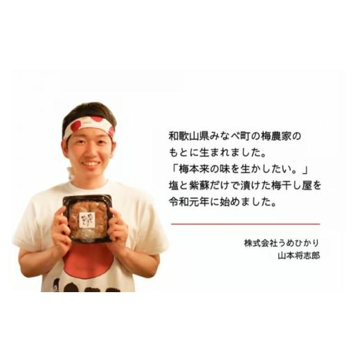ふるさと納税 加工品等 梅干 和歌山県 みなべ町 常温保管可能 天日塩と紫蘇だけで漬けた無添加梅干し2kg(塩分15％)／南高梅 umehkr003A_4