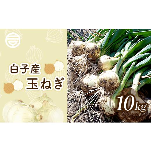 ふるさと納税 野菜類 玉ねぎ 千葉県 白子町  令和8年5月中旬発送・数量限定 白子産玉ねぎ 10kg ふるさと納税 たまねぎ 玉ねぎ 白子玉ねぎ スライス サラダ 健…の画像