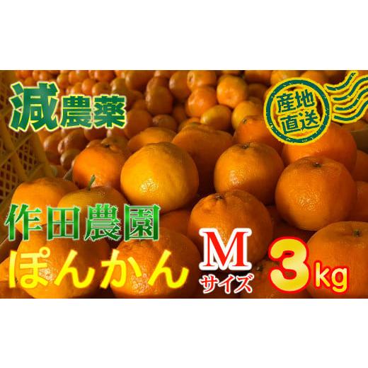 ふるさと納税 みかん・柑橘類 高知県 室戸市 秀品 作田農園直送 ポンカンMサイズ3kg _ 減農薬 有機肥料 ポンカン ぽんかん くだもの 果物 フルーツ 柑橘 か…