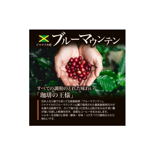 ふるさと納税 コーヒー コーヒー豆 福岡県 久留米市 ブルーマウンテン100g＆ハワイコナコーヒー100g 定期便3ヶ月コース 粉コース_定期便 3ヶ月 コーヒー 粉 各…_2