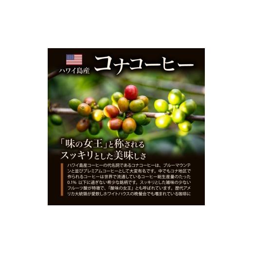 ふるさと納税 コーヒー コーヒー豆 福岡県 久留米市 ブルーマウンテン100g＆ハワイコナコーヒー100g 定期便3ヶ月コース 粉コース_定期便 3ヶ月 コーヒー 粉 各…_3