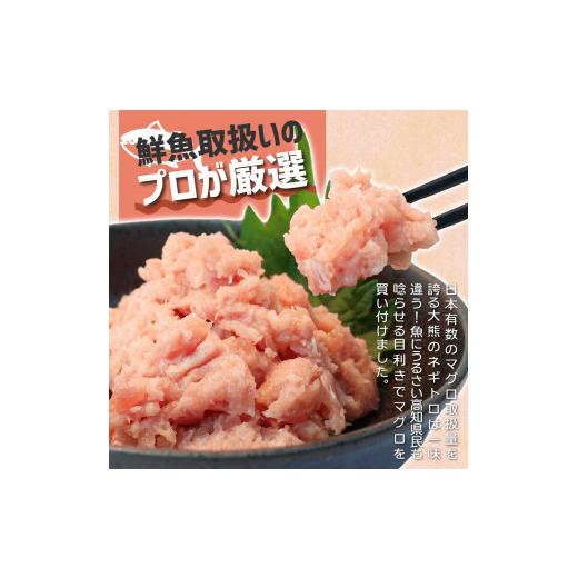 ふるさと納税 高知県 土佐市 訳あり ネギトロ 1kｇ（500ｇ×2袋）｜furusatochoice｜06