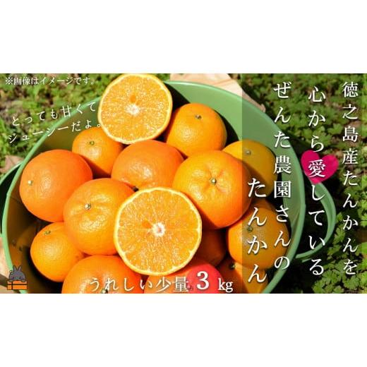 ふるさと納税 みかん・柑橘類 鹿児島県 徳之島町 1956 [今が旬 ]たんかんを心から愛している。ぜんた農園のたんかん(3kg) ( タンカン フルーツ みかん 果…