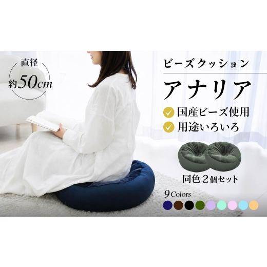 ふるさと納税 家具 群馬県 前橋市 R4-75-5 ビーズクッション 同色2個セット アナリア(大ビーズ) スカイブルー スカイブルー