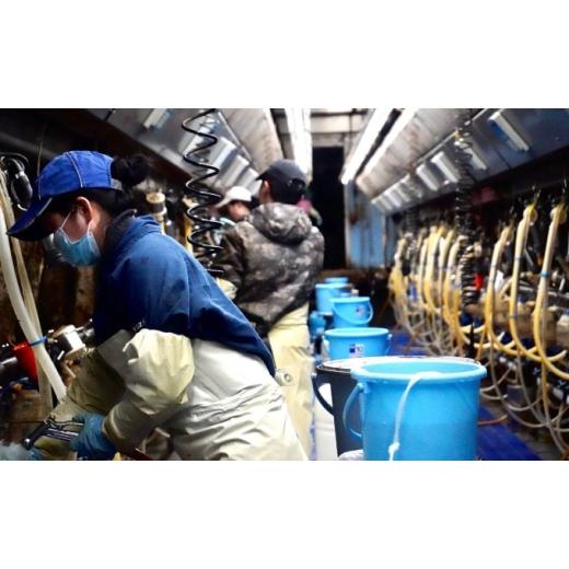 ふるさと納税 飲料類 乳飲料 北海道 湧別町  No.5930-0317 3カ月定期便 中谷牧場 ドリンクヨーグルト 900ml×4本 ジャージー牛 A2ミルク やさしい 国産 オホー…の画像