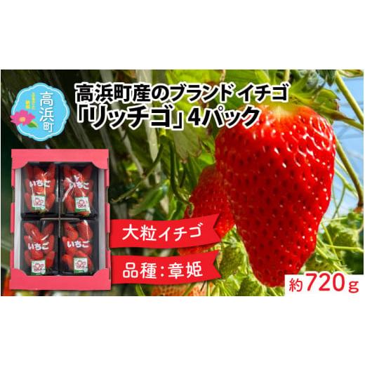 ふるさと納税 いちご 福井県 高浜町 先行予約 2026年1月第2週目より順次お届け 発送時期が選べる 福井県高浜町産のブランド生いちご リッチゴ 約720g 2026年1…