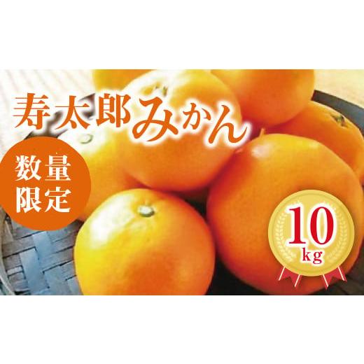 ふるさと納税 果物類 みかん 三重県 松阪市 松阪産寿太郎みかん 10kg(限定100) 2月中旬から順次発送 002242