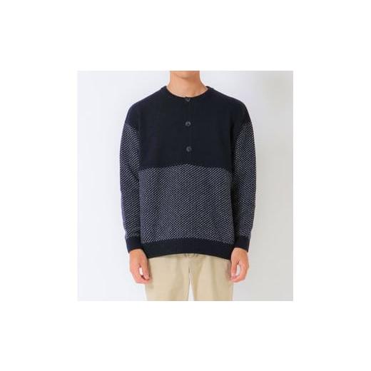 ふるさと納税 服 男 新潟県 五泉市 セーター ハーフボタンバーズアイセーター ( ネイビー・L ) メンズ ニット | 長袖 無地 カジュアル シンプル おしゃれ 男性…