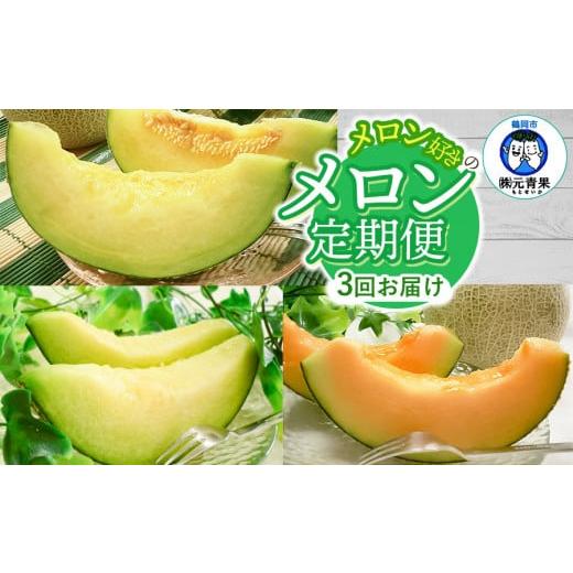 ふるさと納税 メロン メロン青肉 山形県 鶴岡市 令和8年産先行予約 メロン好きのメロン定期便 3回お届け 山形県鶴岡市産 株式会社 元青果
