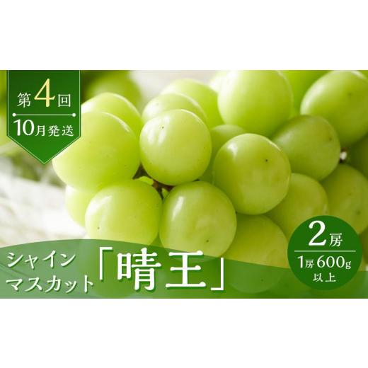ふるさと納税 もも 岡山県 岡山市 定期 2026年 フルーツ 王国 岡山の果物 定期便 6回コース 桃 ぶどう 梨 岡山県産 国産 果物 ギフト_5