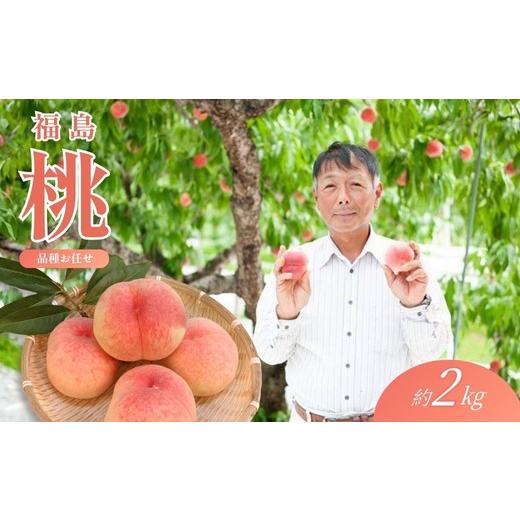 ふるさと納税 もも 福島県 福島市 No.2405福島 桃 約2kg 2026年発送 先行予約の画像