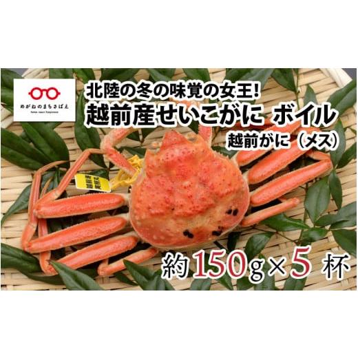 ふるさと納税 カニ 福井県 鯖江市 11月3日までの特別価格 11月中旬以降順次発送予定 北陸の冬の味覚の王者 越前がに(メス)「せいこがに」150g前後 × 5杯 B…