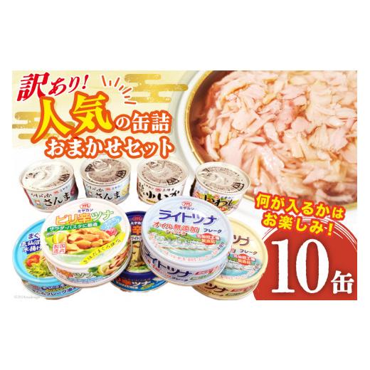 ふるさと納税 缶詰・瓶詰 魚貝類 宮城県 気仙沼市 訳あり お任せ 缶詰