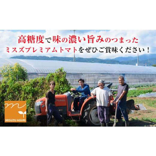 ふるさと納税 長崎県 西海市 トマト ミスズプレミアム トマト 「ルージュ」約 1kg （9個） 西海市産 トマト とまと 野菜 新鮮 旬 ＜株式会社ミスズアグリ西海…｜furusatochoice｜06