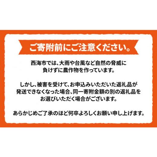 ふるさと納税 長崎県 西海市 トマト ミスズプレミアム トマト 「ルージュ」約 1kg （9個） 西海市産 トマト とまと 野菜 新鮮 旬 ＜株式会社ミスズアグリ西海…｜furusatochoice｜07