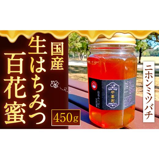 ふるさと納税 加工品等 はちみつ 福岡県 北九州市 国産 生はちみつ