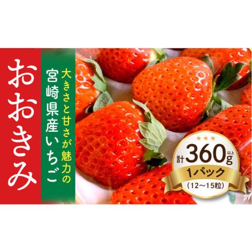 ふるさと納税 いちご 宮崎県 宮崎市 [2026年発送] 数量・期間限定 宮崎県産いちご「おおきみ」1パック(計360g以上:12粒〜15粒)_M260-001 15,000円 1パック(…