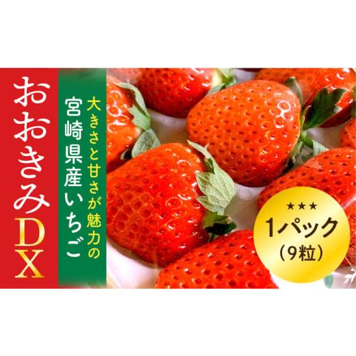 ふるさと納税 いちご 宮崎県 宮崎市 [2026年発送先行予約] 数量・期間限定 宮崎県産いちご「おおきみDX」1パック(9粒)_M260-004 17,000円 1パック(9粒)