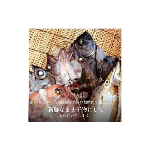 ふるさと納税 干物 富山県 氷見市  完全受注生産 本物のこだわり 半七の干物セット 贅 -Zei- 〈冷凍〉｜ 高級干物 手作り 氷見直送 添加物不使用の画像