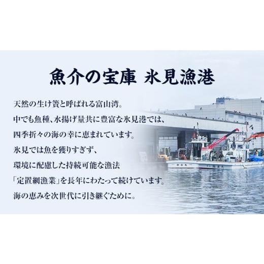 ふるさと納税 干物 富山県 氷見市  完全受注生産 本物のこだわり 半七の干物セット 贅 -Zei- 〈冷凍〉｜ 高級干物 手作り 氷見直送 添加物不使用の画像
